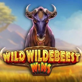 Play the Wild Wildebeest Wins slot by Pragmatic Play on LalaBet Casino